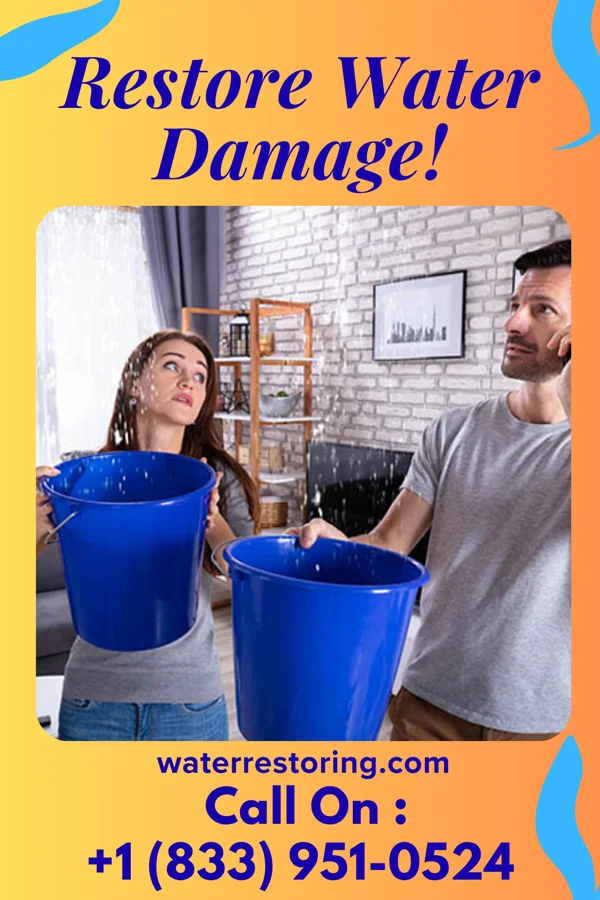water restoration Master Disaster Cleanup Services Throop