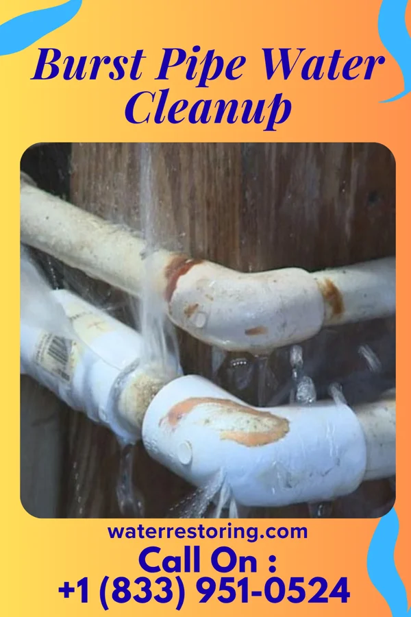 Burst Pipe Water Cleanup in Throop, PA