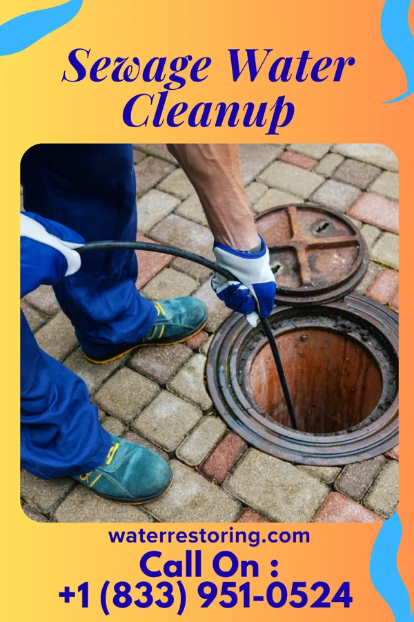 Sewage Water Cleanup in Throop, PA